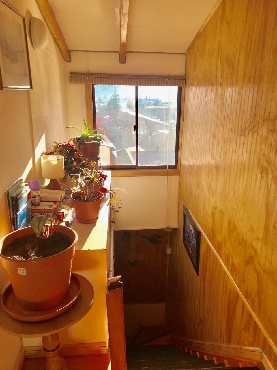 Hostal Patagonia Marmol Coyhaique Exteriör bild